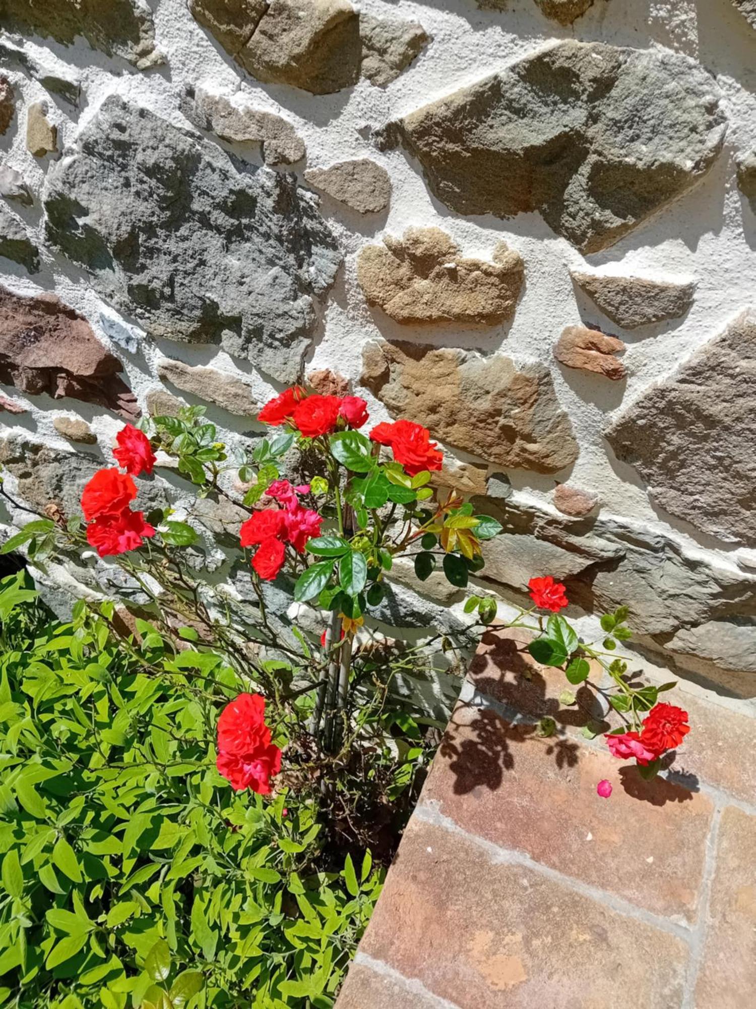 Casa Vacanze Raggio Di Sole Grotte  Esterno foto